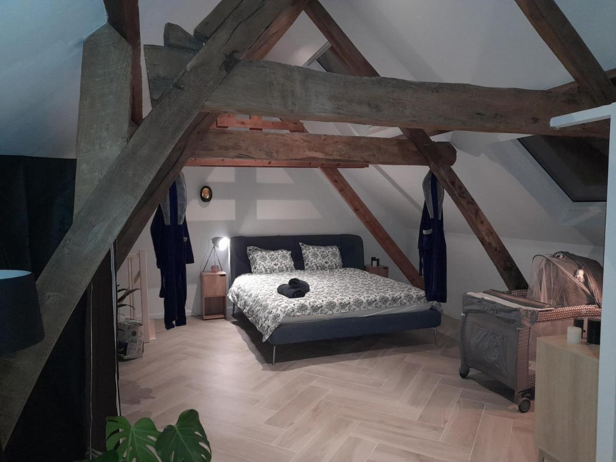 Suite City Center In Quiet Street & Airco Anversa Esterno foto